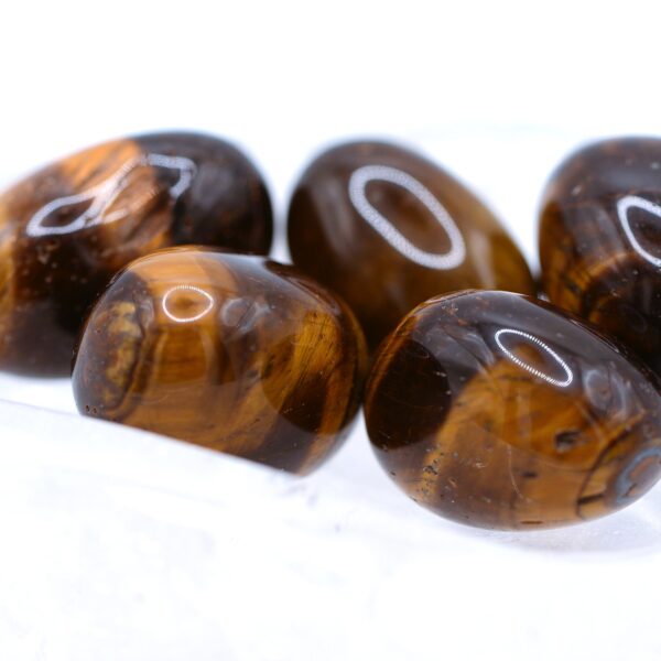 Eye of Tiger tumbled🔥(Normal/Red/Dark Blue)
