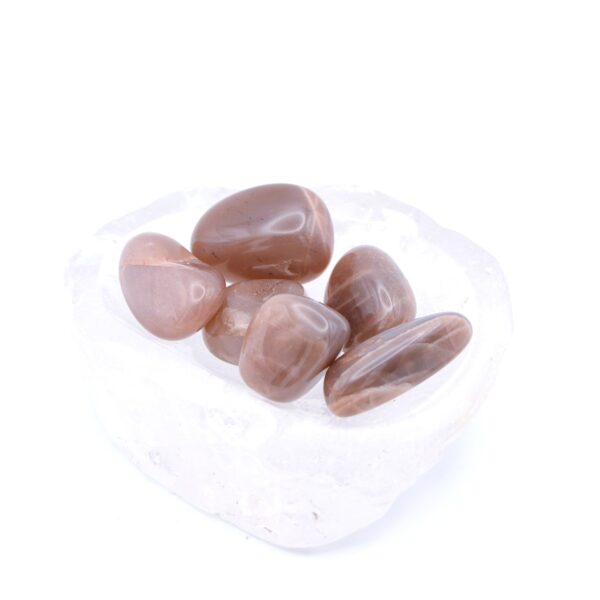 Tumbled Moonstone🌙 - Image 3