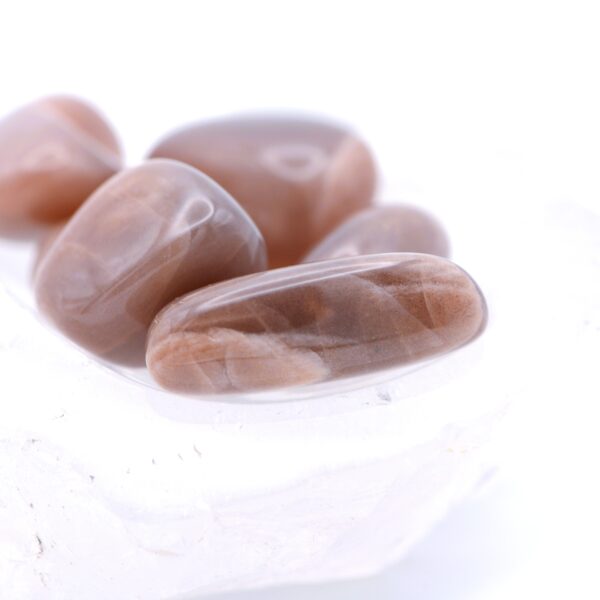 Tumbled Moonstone🌙