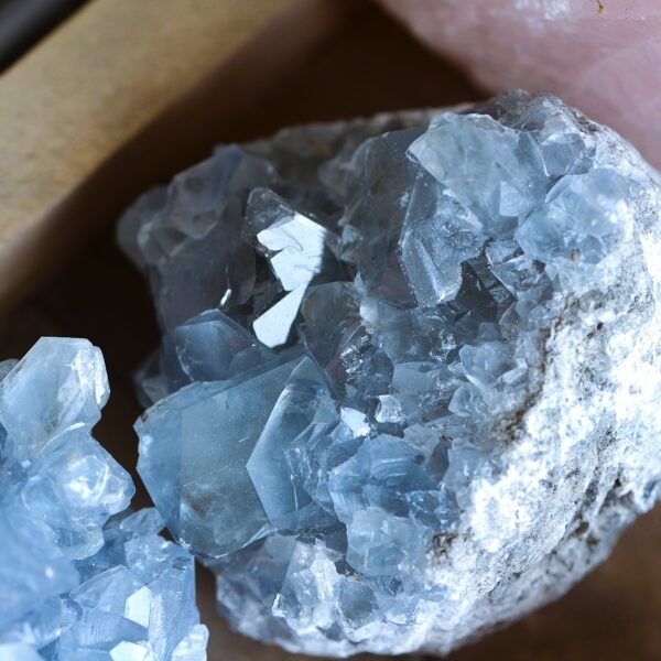 Celestine raw🩵✨ Sleep tight - Image 2