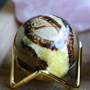 Sfera in Septaria 💛🌿