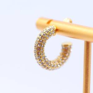 Orecchini Cerchi Brillanti✨