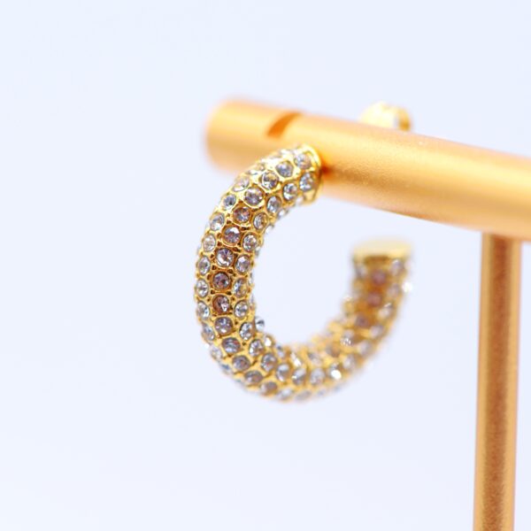 Sparkling Circles Earrings✨