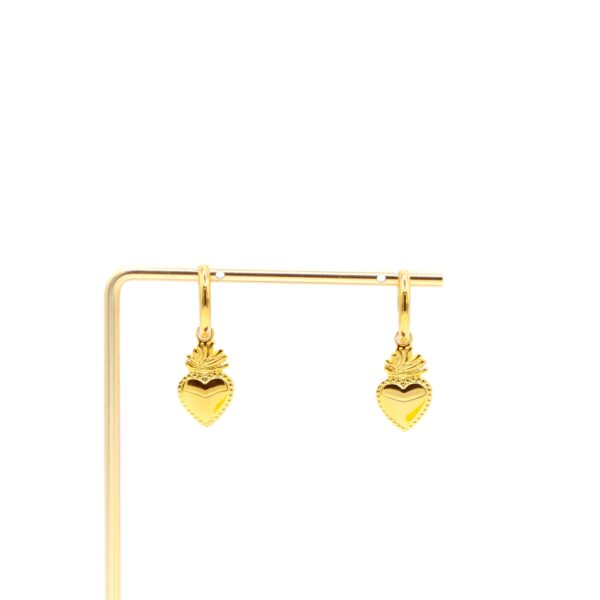 Earrings Madame❤️‍🔥