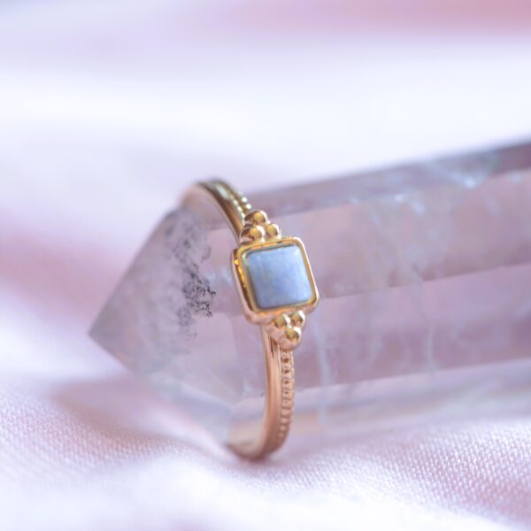 Amethyst/Dalmatite Jasper/Blue Adventurine/Rodonite Ring - Image 4