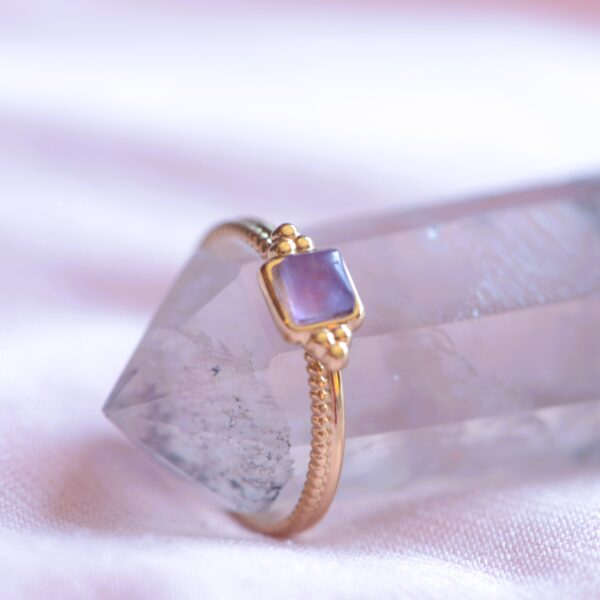 Amethyst/Dalmatite Jasper/Blue Adventurine/Rodonite Ring